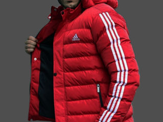 Adidas Nike Prada The North Face foto 2