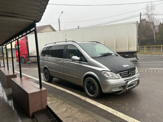 Mercedes Viano