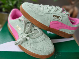 Puma originale