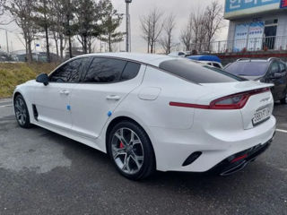 KIA Stinger foto 2