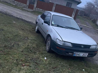 Toyota Corolla foto 3