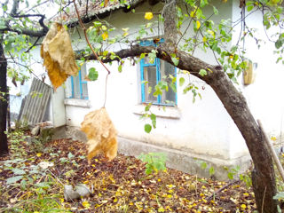 Продается дом в самом центре села Октябрьского foto 3
