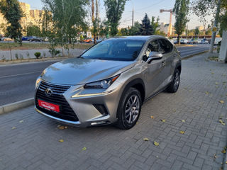 Lexus NX Series