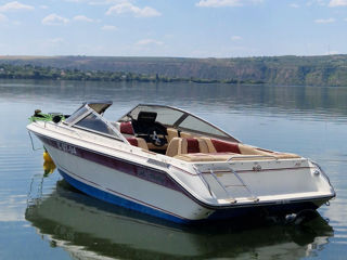 Barcă Sea Ray 4.3