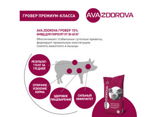 SPMV pentru porci AVA ZDOROVA GROVER 15%. 25kg foto 4