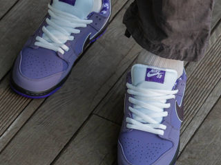 Nike SB Dunk Low Purple Lobster Unisex foto 7