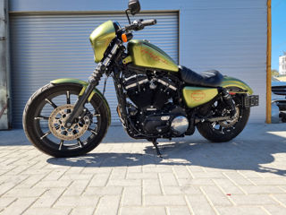 Harley - Davidson Sportster Iron 883