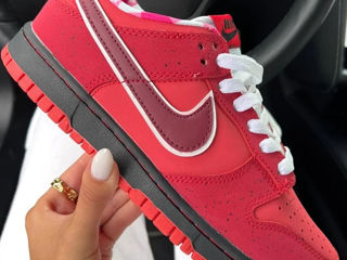 Nike SB Dunk Lobster Red Women's foto 2