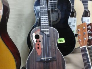 Ukulele . Gitarlele. Modele soprano, concerto. Mag. Promusic. Modele 2024 foto 4