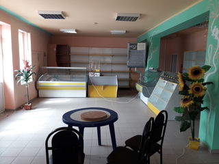 Construcţia comercială cafenea-magazin, or.Ungheni, str.Mihai Viteazul f/n foto 5