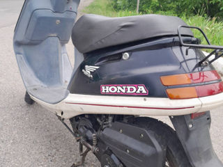 Honda Honda TACT 24 foto 3