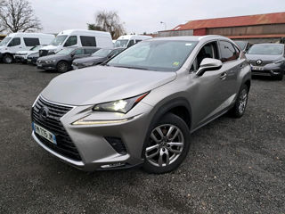 Lexus NX Series