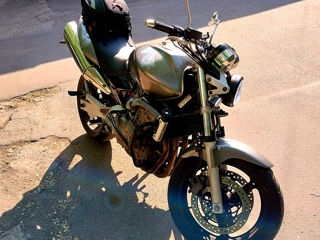 Honda CB600 Hornet