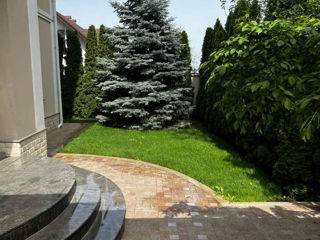 Casa For Rent la Valea Morilor -5500 euro. foto 8