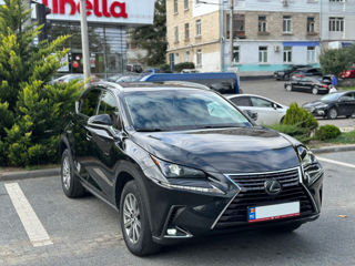 Lexus NX Series foto 2