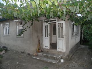 Продаю дом в г. Сынжерей. Vind casa in or. Sîngerei (Lazovsk) foto 9