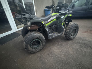 Viper Atv viper 200ccc foto 6