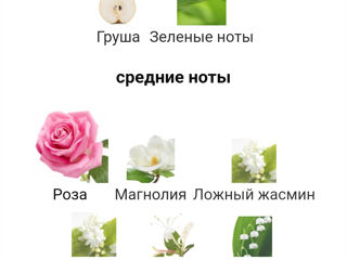 Lanvin Rumer 2 rose 30 ml- аромат нежности foto 4