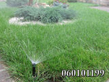 Системы Автоматического полива газонов, клумб, огорода! Обслуживание систем!  ("Rain Bird") foto 4