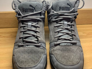 Puma cu blană, 44