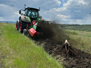 Scoatem rădăcini din sol (defrișare subterană) / dezrădăcinare terenuri. Servicii defrișare foto 4