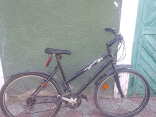 bicicleta foto 5