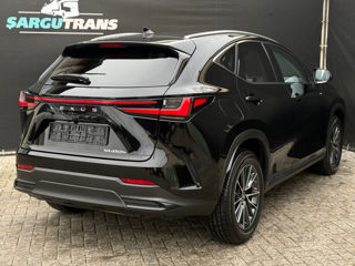 Lexus NX Series foto 4