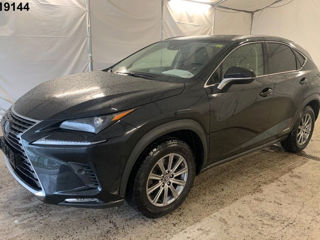 Lexus NX Series