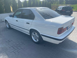 BMW 5 Series foto 6