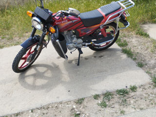 Wolf Motors 150CC foto 5