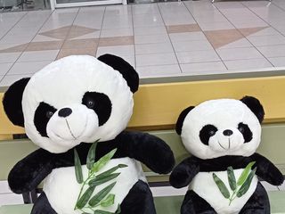 Распродажа - мягкие игрушки панды милые мишки. foto 1