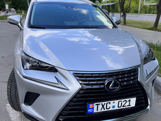 Lexus NX Series foto 1