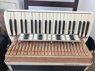 Hohner Tango5 M foto 4