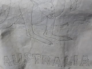 Срочно! Шкура австралийского кенгуру 2 метра - 80Euro foto 5