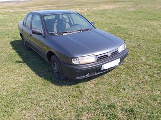 Nissan Primera foto 7