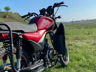 Alpha Moto Andes 110cc foto 6