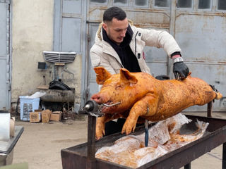 Servicii catering Purceluș Coorporativ foto 4
