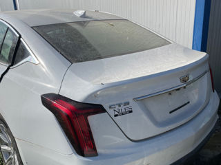 Cadillac CT5 foto 8