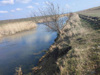 Spre vânzare teren agricol 4,2 ha în Orhei, sat. Isacova foto 2