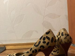 Pantofi Leopard/туфли класические foto 2