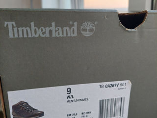 Timberland foto 5