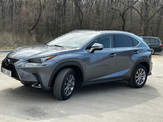 Lexus NX Series