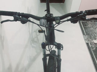 29" Pride Marvel 9.3 frame L foto 2