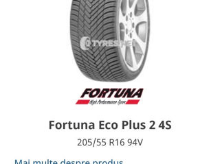 R16 205/55 Fortuna Eco Plus 2 4S foto 3