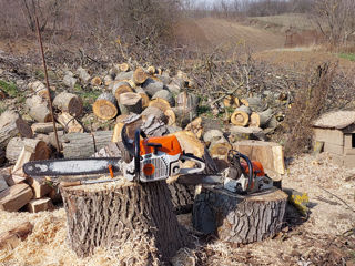 Удаляем деревья. foto 1