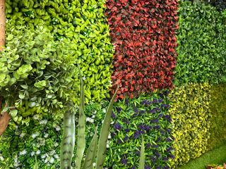 Декоративные зеленые покрытия / фитостена / perete din plante artificiale foto 5