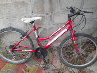 Bicicleta buna