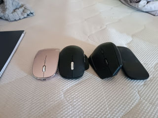 Vind mouse 350 toate