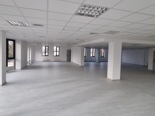 Офис Open Space 296 м2 для IT-компании, Call-центра и др. Sfatul Tarii 15 foto 5
