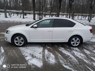 Skoda Octavia foto 4